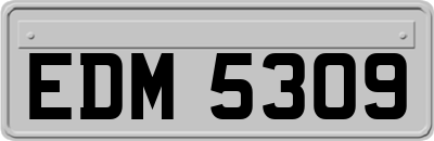 EDM5309