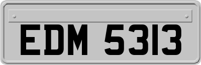 EDM5313