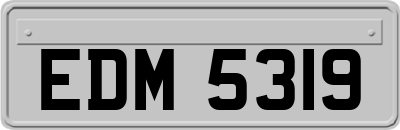 EDM5319