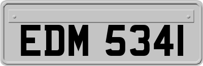 EDM5341