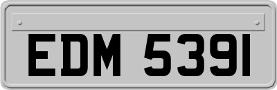 EDM5391