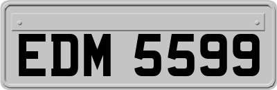 EDM5599