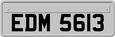 EDM5613