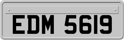 EDM5619