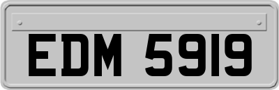 EDM5919