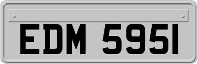 EDM5951