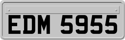 EDM5955