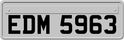 EDM5963