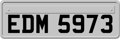 EDM5973