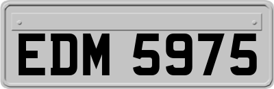 EDM5975