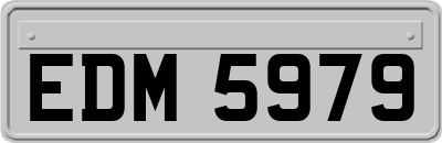 EDM5979
