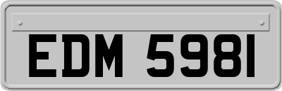EDM5981