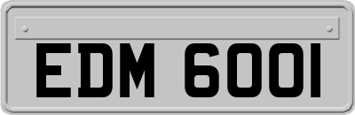 EDM6001