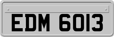 EDM6013