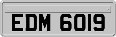 EDM6019
