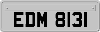 EDM8131
