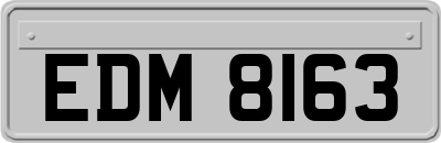 EDM8163