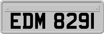 EDM8291