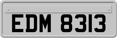 EDM8313