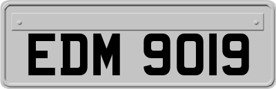 EDM9019