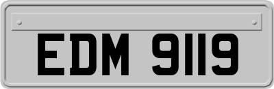 EDM9119