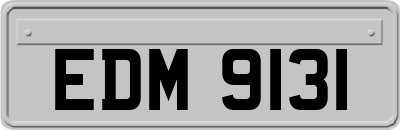 EDM9131