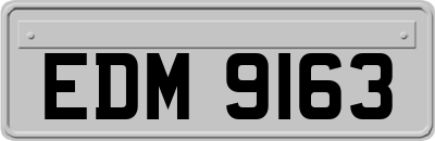 EDM9163