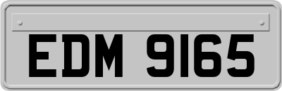 EDM9165