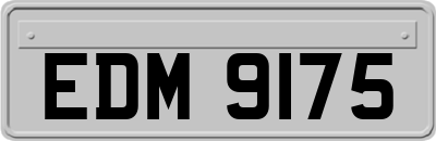 EDM9175