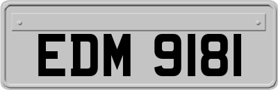 EDM9181
