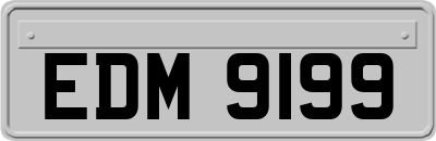 EDM9199