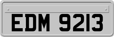 EDM9213