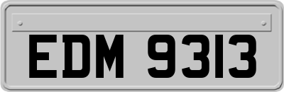 EDM9313