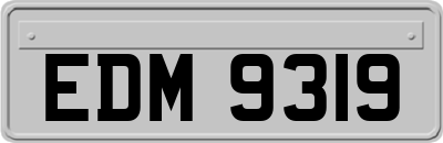 EDM9319