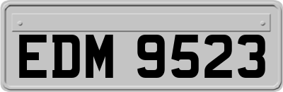 EDM9523