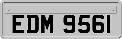 EDM9561