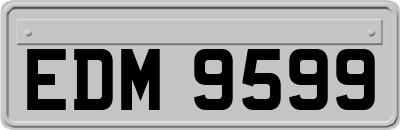 EDM9599
