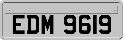 EDM9619