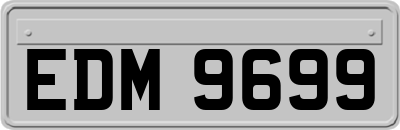 EDM9699