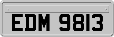 EDM9813