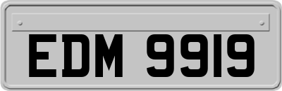 EDM9919