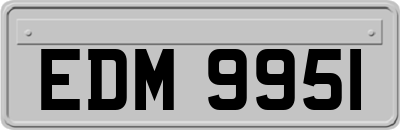 EDM9951