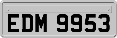 EDM9953