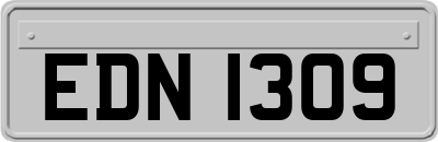 EDN1309