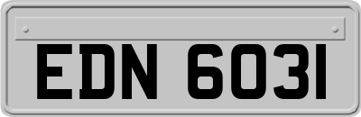 EDN6031