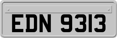 EDN9313