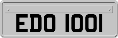 EDO1001