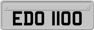 EDO1100