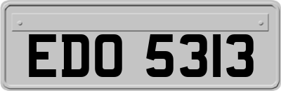 EDO5313