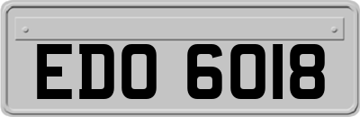 EDO6018